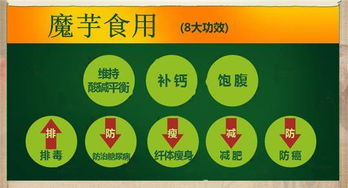 天燁食品科技 結構粉技術引領全素、半素香腸與肉糜制品新風向